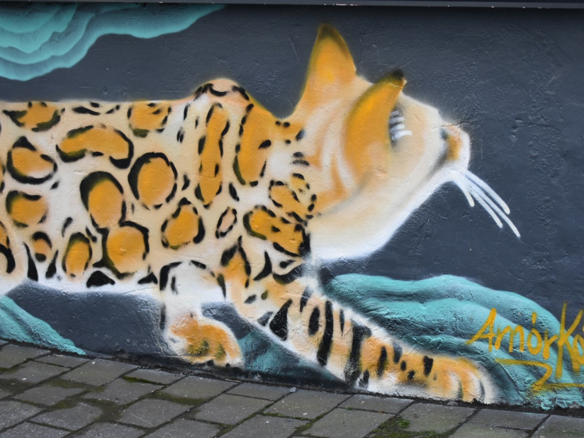 Additional Time? 5 More Things to do in Reykjavik,&nbsp;Iceland