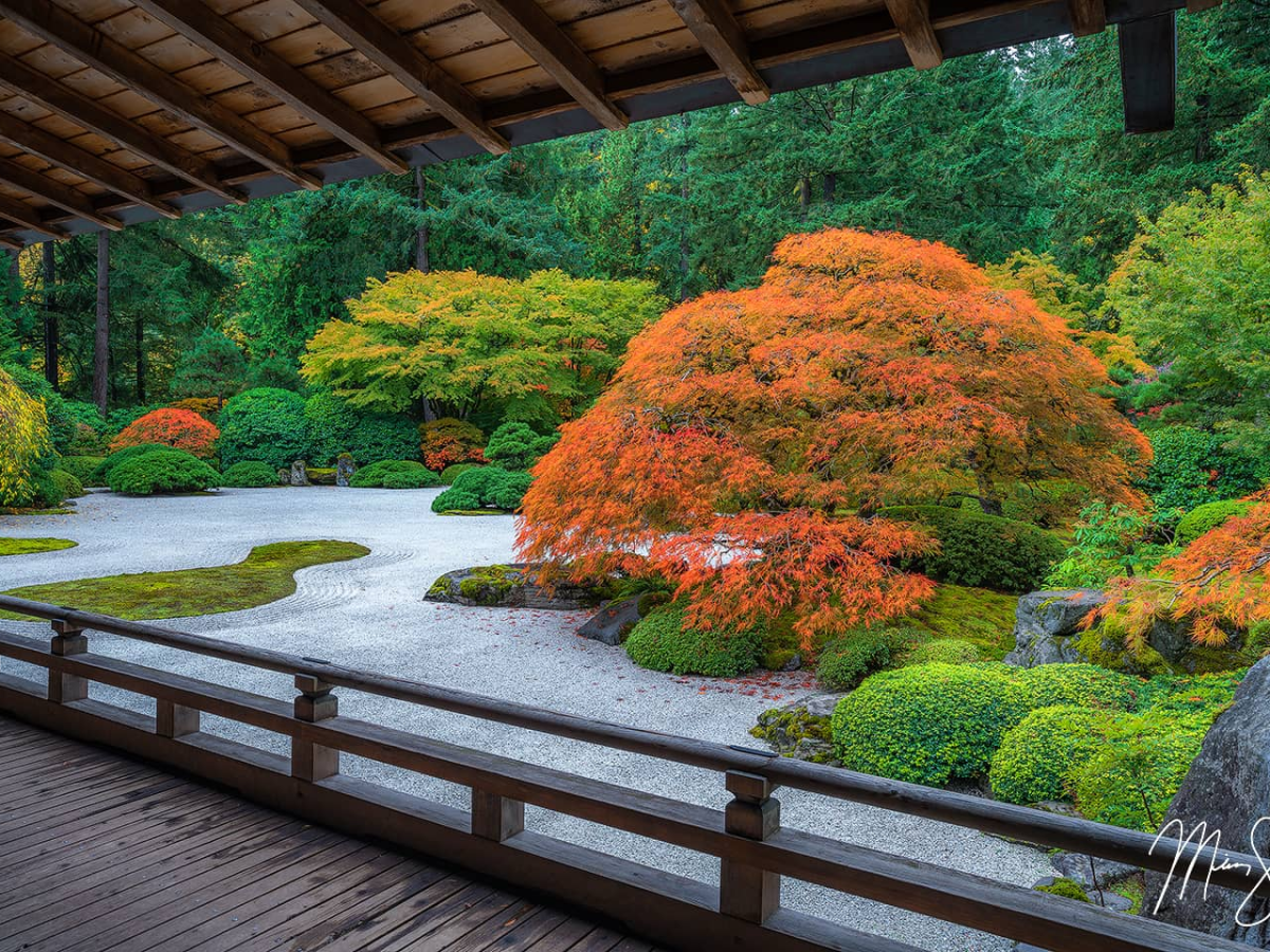 Tips for Visiting Portland,&nbsp;OR