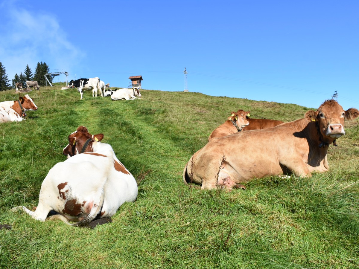 Switzerland: 10 Days in&nbsp;Paradise!